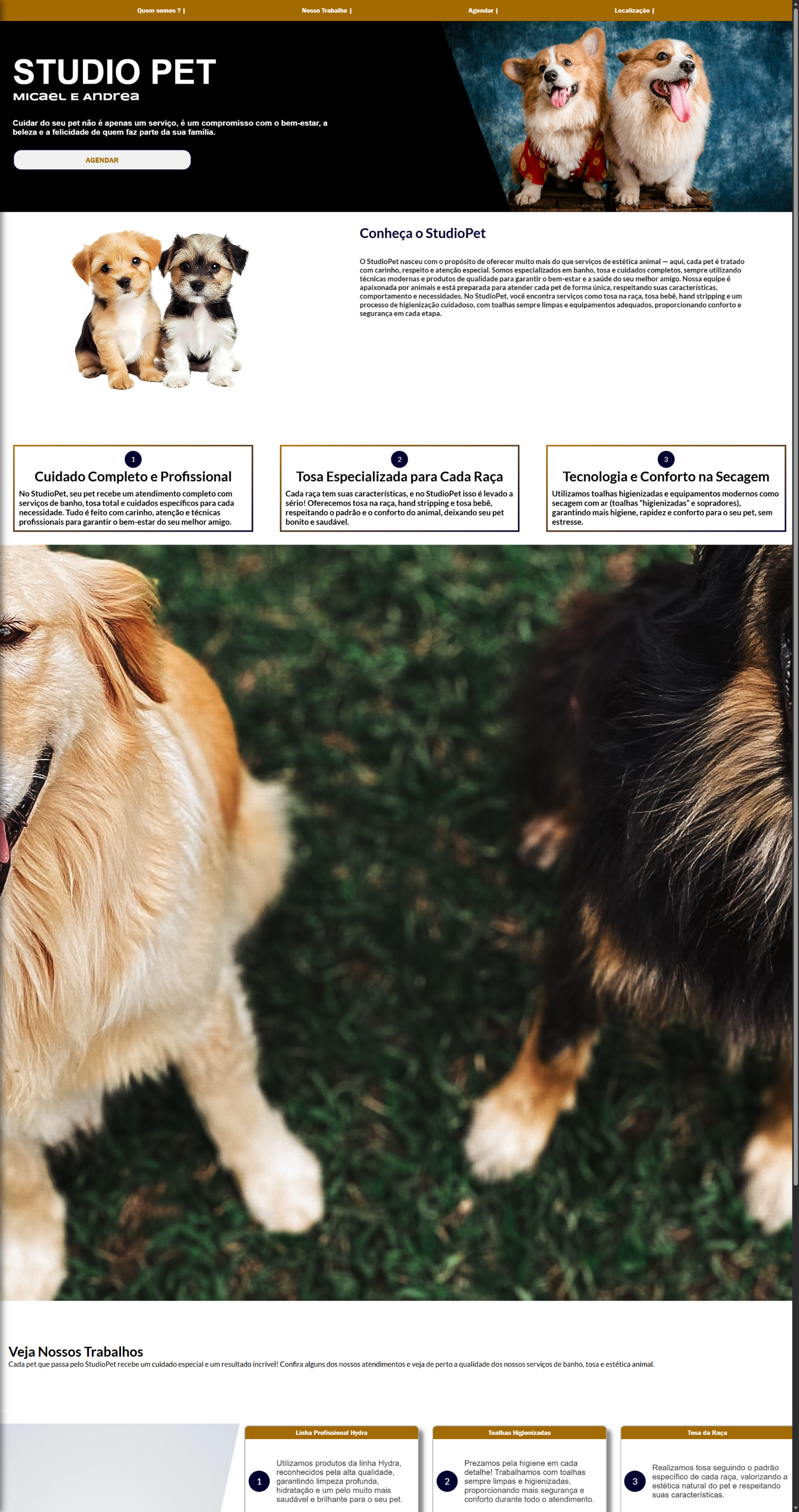 Transforme o seu Petshop em uma Máquina de Vendas Online!