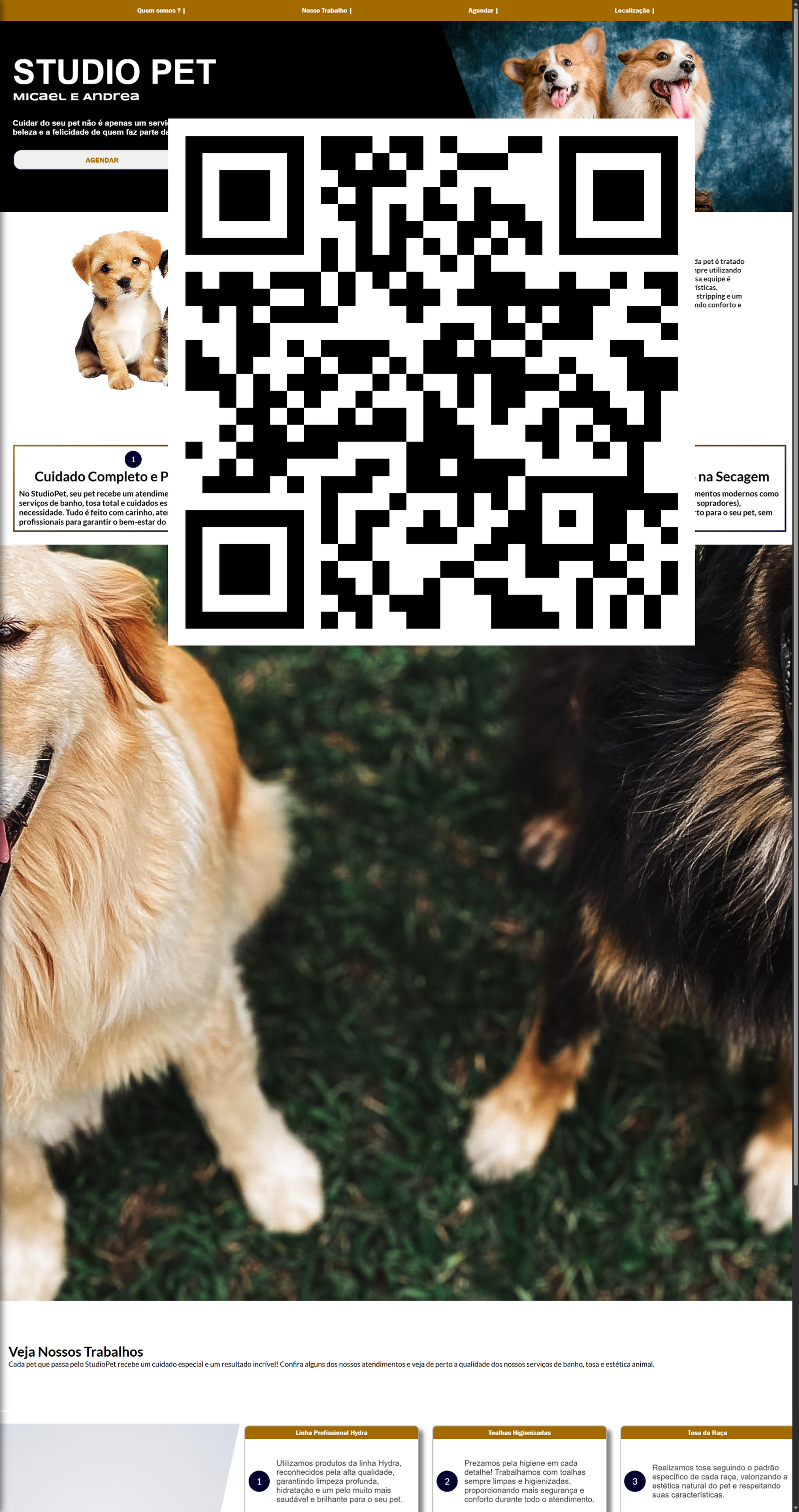 Design com QR Code Integrado